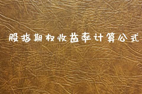 股指期权收益率计算公式_https://www.fsyjjx.cn_期货资讯_第1张