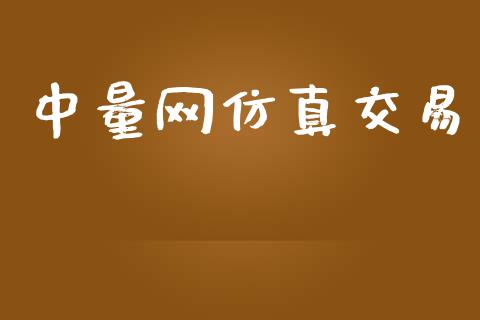 中量网仿真交易_https://www.fsyjjx.cn_问财精选_第1张