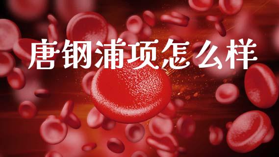 唐钢浦项怎么样_https://www.fsyjjx.cn_理财资讯_第1张