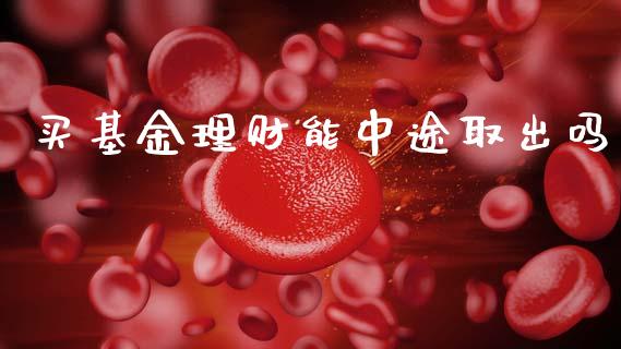 买基金理财能中途取出吗_https://www.fsyjjx.cn_问财精选_第1张