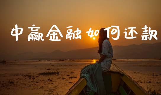 中赢金融如何还款_https://www.fsyjjx.cn_理财资讯_第1张