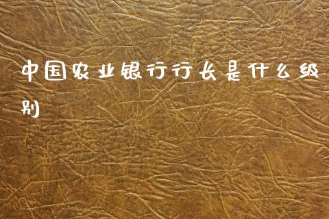 中国农业银行行长是什么级别_https://www.fsyjjx.cn_期货在线_第1张