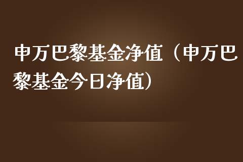 申万巴黎基金净值（申万巴黎基金今日净值）_https://www.fsyjjx.cn_问财精选_第1张