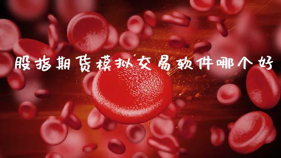 股指期货模拟交易软件哪个好_https://www.fsyjjx.cn_期货资讯_第1张