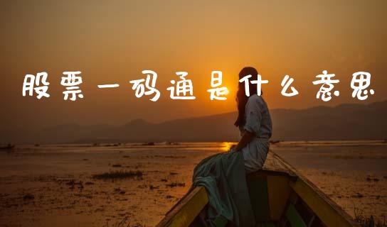 股票一码通是什么意思_https://www.fsyjjx.cn_期货在线_第1张