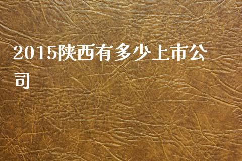 2015陕西有多少上市公司_https://www.fsyjjx.cn_问财精选_第1张