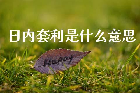 日内套利是什么意思_https://www.fsyjjx.cn_期货资讯_第1张