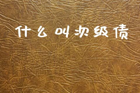 什么叫次级债_https://www.fsyjjx.cn_期货资讯_第1张
