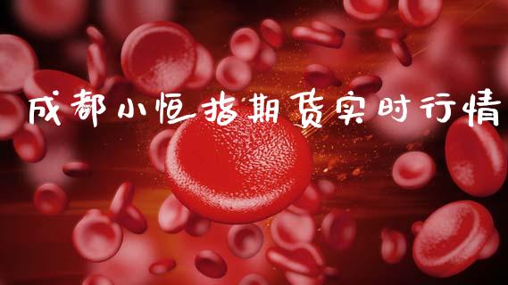 成都小恒指期货实时行情_https://www.fsyjjx.cn_期货资讯_第1张