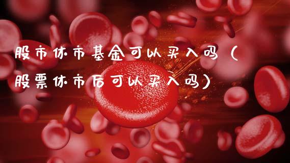 股市休市基金可以买入吗（股票休市后可以买入吗）_https://www.fsyjjx.cn_问财精选_第1张