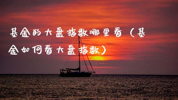 基金的大盘指数哪里看（基金如何看大盘指数）_https://www.fsyjjx.cn_问财精选_第1张