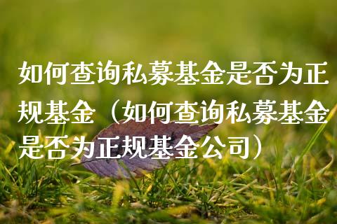 如何查询私募基金是否为正规基金（如何查询私募基金是否为正规基金公司）_https://www.fsyjjx.cn_问财精选_第1张