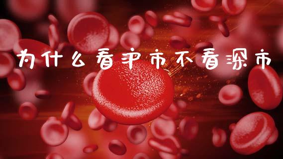 为什么看沪市不看深市_https://www.fsyjjx.cn_期货资讯_第1张