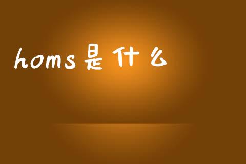 homs是什么_https://www.fsyjjx.cn_股票指导_第1张