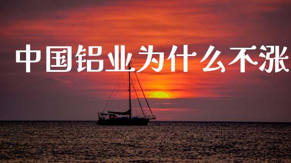中国铝业为什么不涨_https://www.fsyjjx.cn_期货研报_第1张