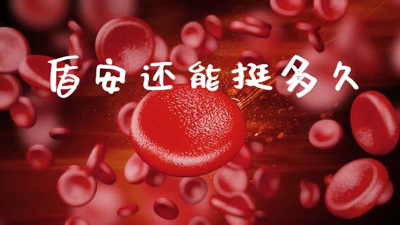 盾安还能挺多久_https://www.fsyjjx.cn_理财资讯_第1张