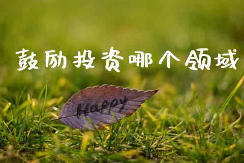 鼓励投资哪个领域_https://www.fsyjjx.cn_股票指导_第1张
