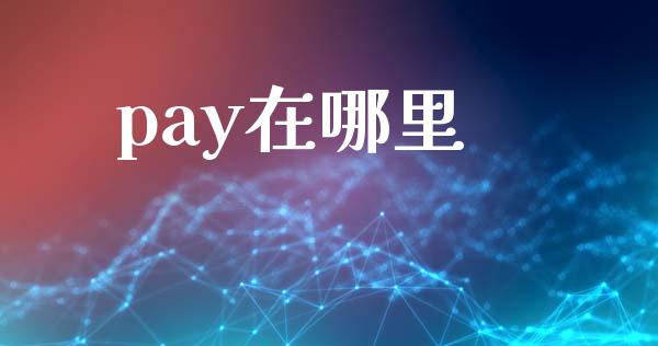 pay在哪里_https://www.fsyjjx.cn_股指期货_第1张