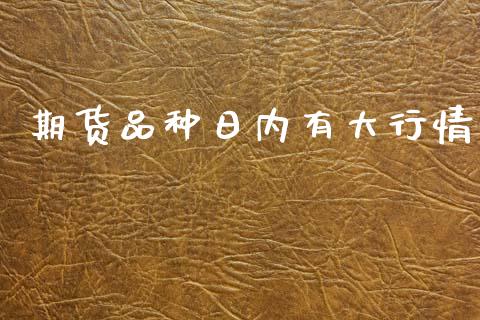 期货品种日内有大行情_https://www.fsyjjx.cn_期货资讯_第1张