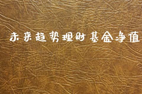 未来趋势理财基金净值_https://www.fsyjjx.cn_问财精选_第1张