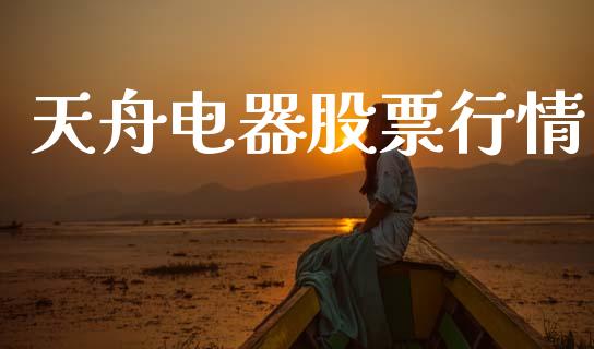 天舟电器股票行情_https://www.fsyjjx.cn_股市分析_第1张