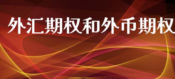外汇期权和外币期权_https://www.fsyjjx.cn_期货研报_第1张