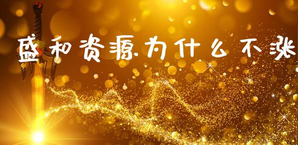 盛和资源为什么不涨_https://www.fsyjjx.cn_期货资讯_第1张