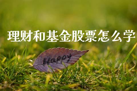 理财和基金股票怎么学_https://www.fsyjjx.cn_问财精选_第1张