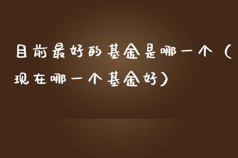目前最好的基金是哪一个（现在哪一个基金好）_https://www.fsyjjx.cn_问财精选_第1张