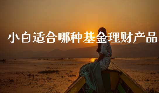 小白适合哪种基金理财产品_https://www.fsyjjx.cn_问财精选_第1张