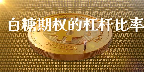 白糖期权的杠杆比率_https://www.fsyjjx.cn_理财资讯_第1张