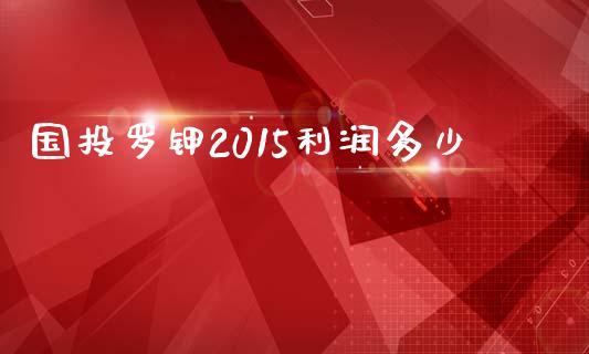 国投罗钾2015利润多少_https://www.fsyjjx.cn_股票指导_第1张