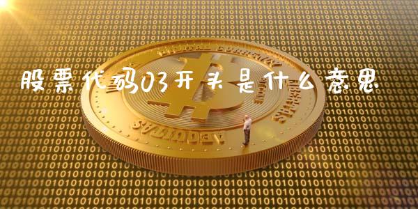 股票代码03开头是什么意思_https://www.fsyjjx.cn_股票指导_第1张