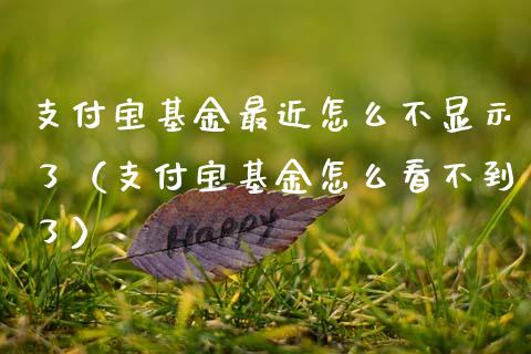 支付宝基金最近怎么不显示了（支付宝基金怎么看不到了）_https://www.fsyjjx.cn_理财资讯_第1张