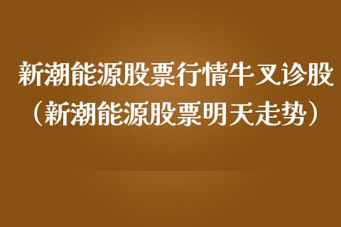 新潮能源股票行情牛叉诊股（新潮能源股票明天走势）_https://www.fsyjjx.cn_股指期货_第1张