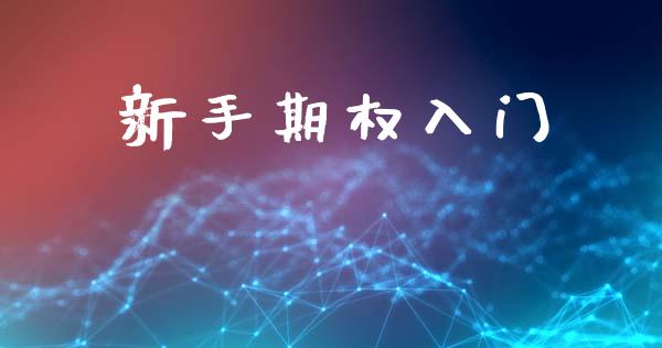 新手期权入门_https://www.fsyjjx.cn_期货资讯_第1张