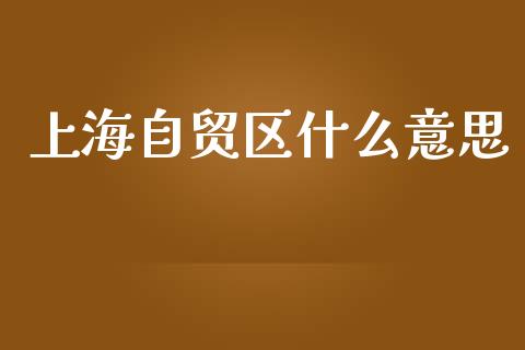 上海自贸区什么意思_https://www.fsyjjx.cn_股指期货_第1张