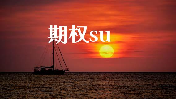 期权su_https://www.fsyjjx.cn_问财精选_第1张
