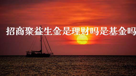 招商聚益生金是理财吗是基金吗_https://www.fsyjjx.cn_理财资讯_第1张