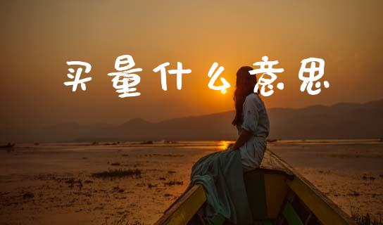买量什么意思_https://www.fsyjjx.cn_理财资讯_第1张