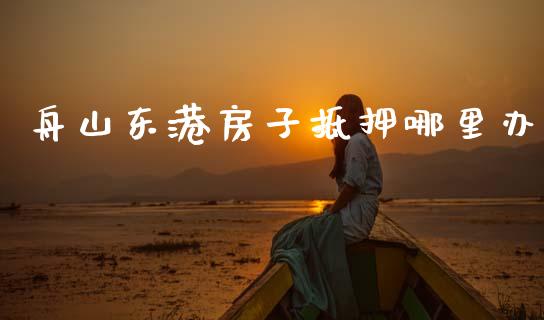 舟山东港房子抵押哪里办_https://www.fsyjjx.cn_问财精选_第1张