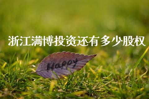 浙江满博投资还有多少股权_https://www.fsyjjx.cn_股市分析_第1张
