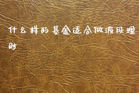 什么样的基金适合做波段理财_https://www.fsyjjx.cn_理财资讯_第1张