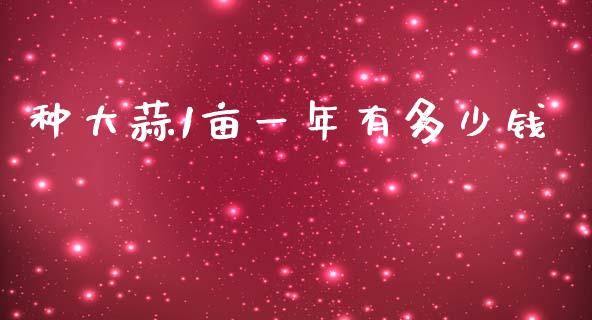 种大蒜1亩一年有多少钱_https://www.fsyjjx.cn_期货资讯_第1张