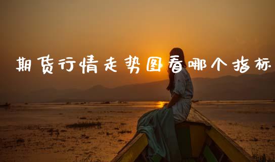 期货行情走势图看哪个指标_https://www.fsyjjx.cn_期货资讯_第1张