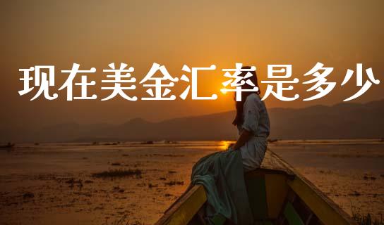 现在美金汇率是多少_https://www.fsyjjx.cn_期货研报_第1张