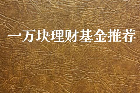一万块理财基金推荐_https://www.fsyjjx.cn_问财精选_第1张