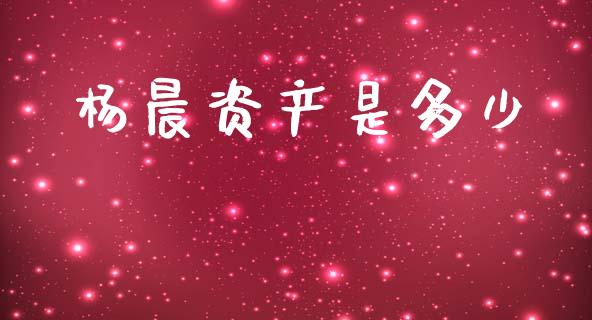 杨晨资产是多少_https://www.fsyjjx.cn_期货资讯_第1张