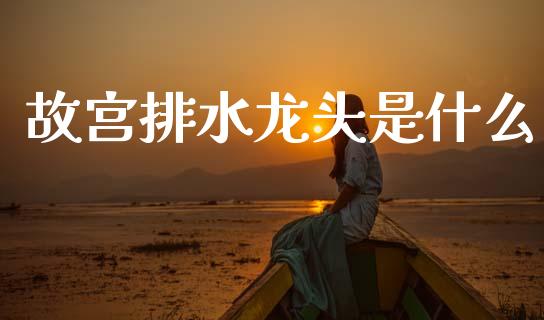 故宫排水龙头是什么_https://www.fsyjjx.cn_期货在线_第1张