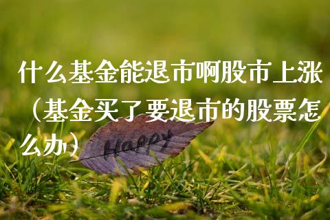 什么基金能退市啊股市上涨（基金买了要退市的股票怎么办）_https://www.fsyjjx.cn_问财精选_第1张